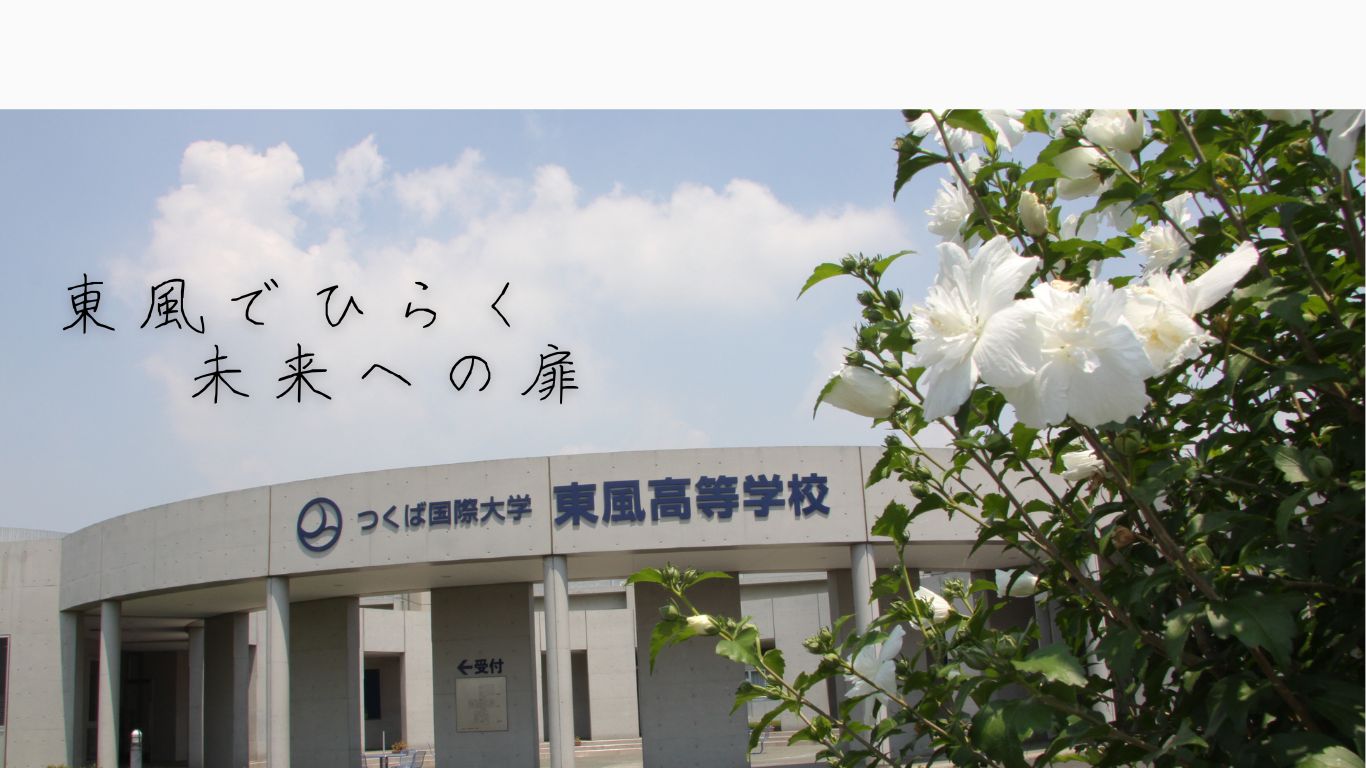 メイン